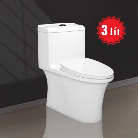 Water Saving One Piece Toilet V1017