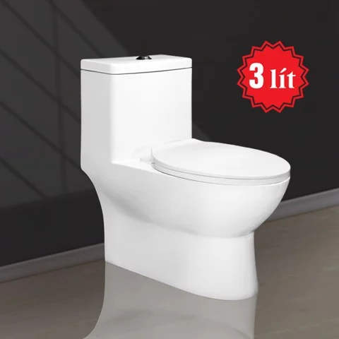 Water Saving One Piece Toilet V1018