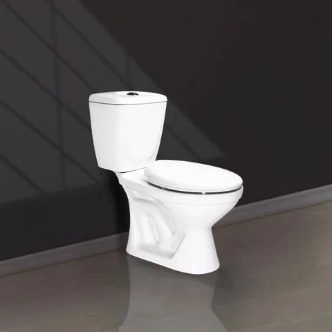 Two Button 2 Piece Toilets V02