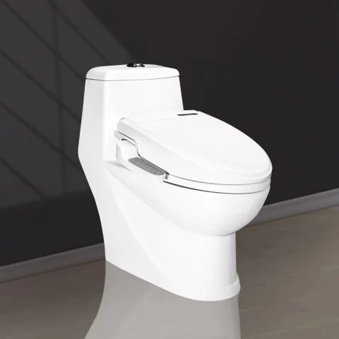 Electronic Lid 1 Piece Toilet V1003