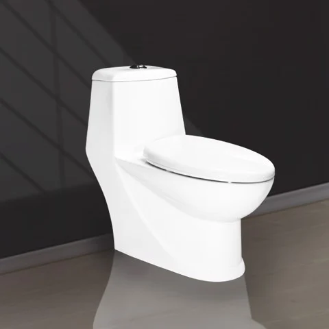 Two Buttons One Piece Toilet V1003