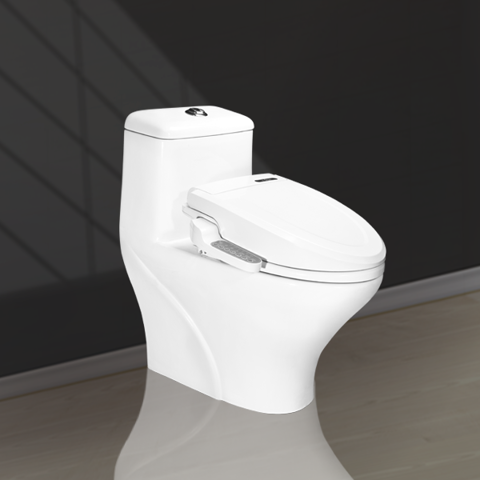 Electronic Lid 1 Piece Toilet V1005