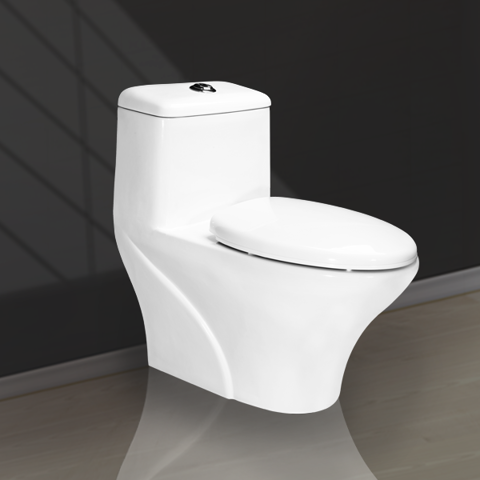 Two Buttons One Piece Toilet V1005