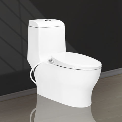 Manual Lid One Piece Toilet V1007