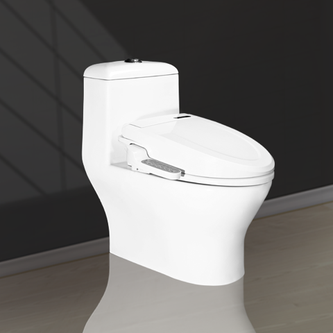 Electronic Lid 1 Piece Toilet V1007