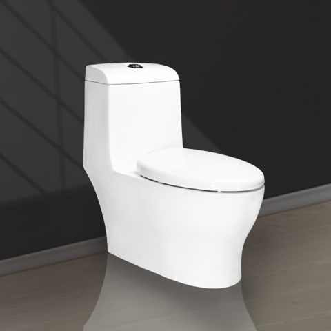 Two Buttons One Piece Toilet V1007