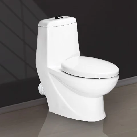 Two Buttons 1 Piece P-Trap Toilet