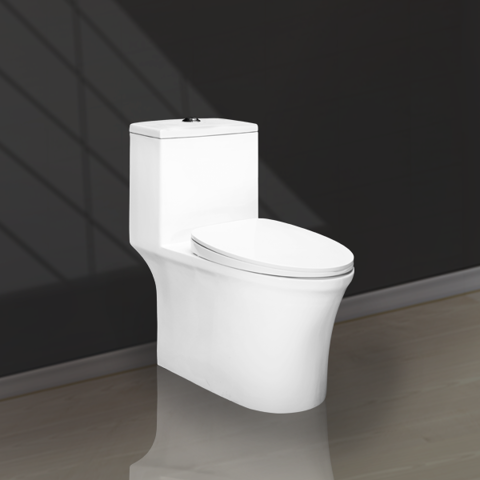 Two Buttons One Piece Toilet V1015