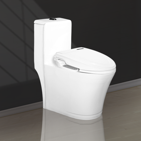 Electronic Lid 1 Piece Toilet V1016