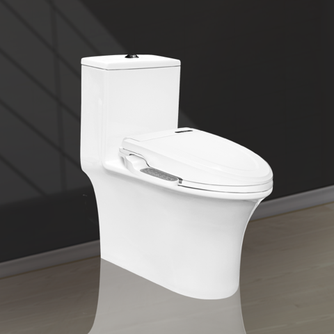 Electronic Lid 1 Piece Toilet V1019