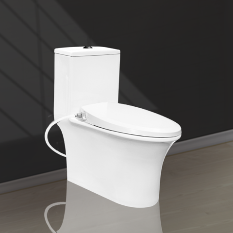 Manual Lid One Piece Toilet V1019