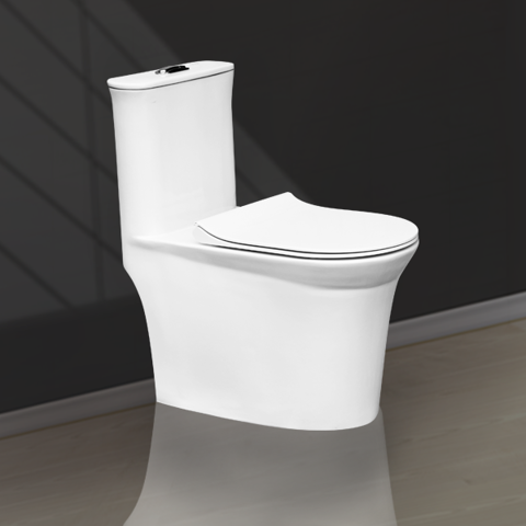 Two Buttons One Piece Toilet V1020