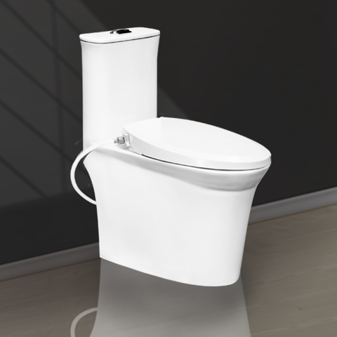 Manual Lid One Piece Toilet V1020