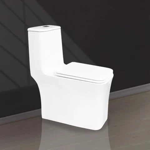 Two Buttons One Piece Toilet V1025