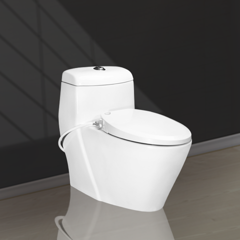 Manual Lid One Piece Toilet V1001