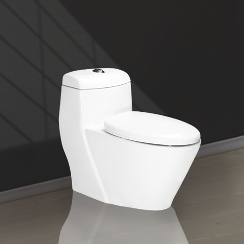 Two Button One Piece Toilet V1101