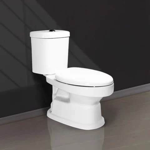 Two Button 2 Piece Toilets V119 01