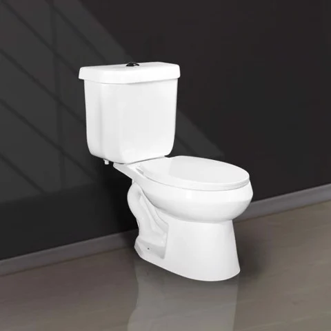 Two Button 2 Piece Toilets V120 01