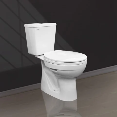 Two Button 2 Piece Toilets V130