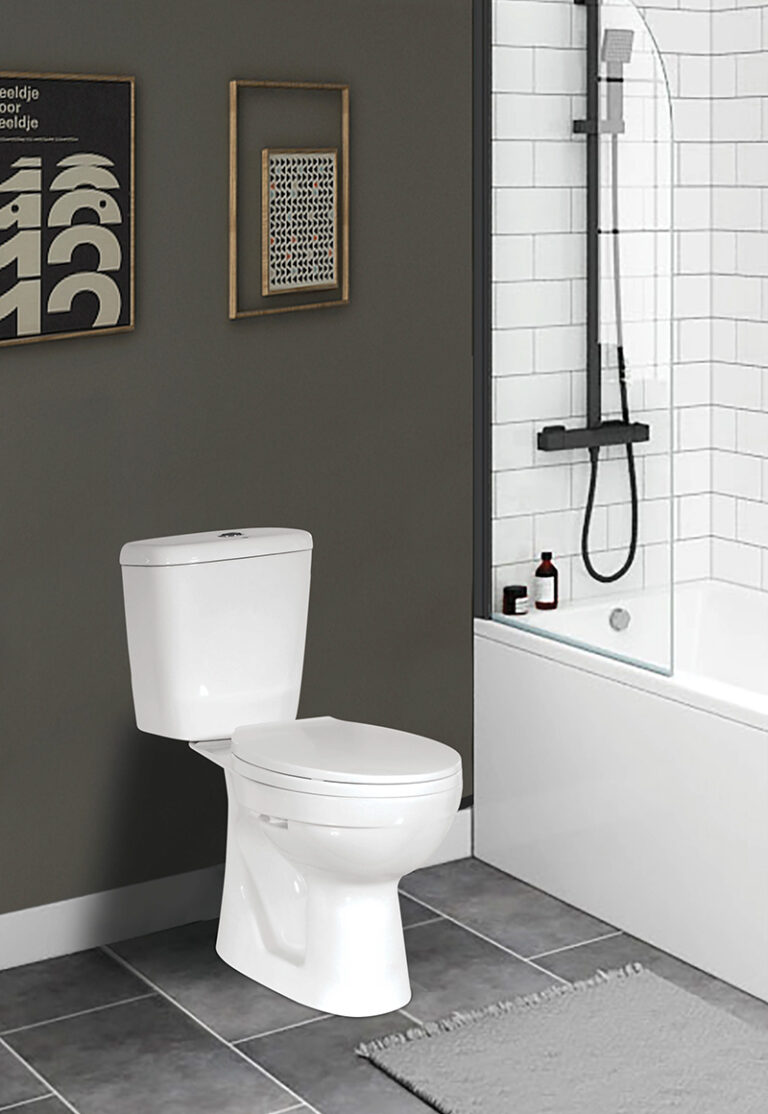 One piece toilets manufactured by Hao Canh Porcelain Vietnam